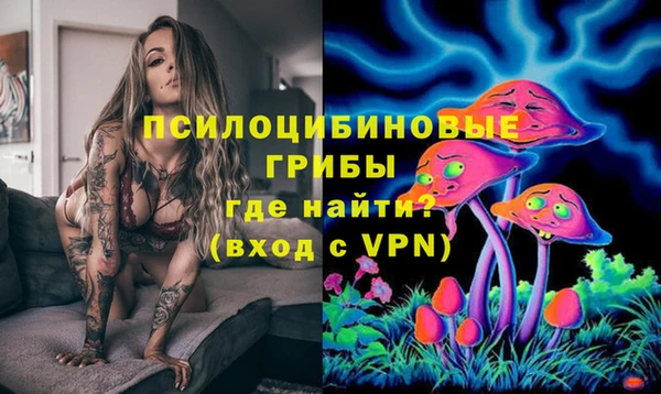 герыч Богородск