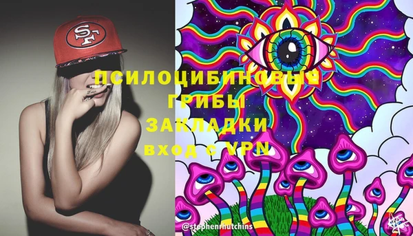 героин Богородицк